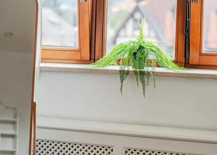 Lejlighed Bergblick Penthouse *