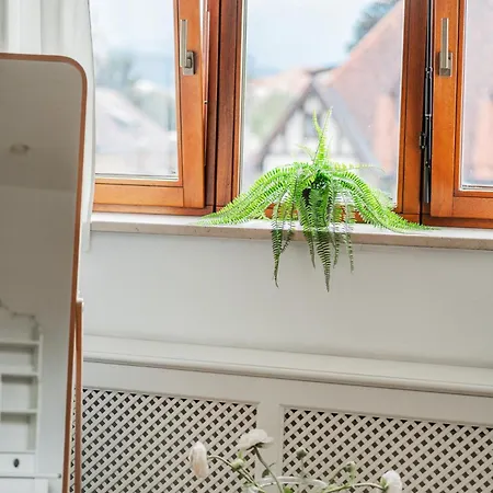 Apartment Bergblick Penthouse *
